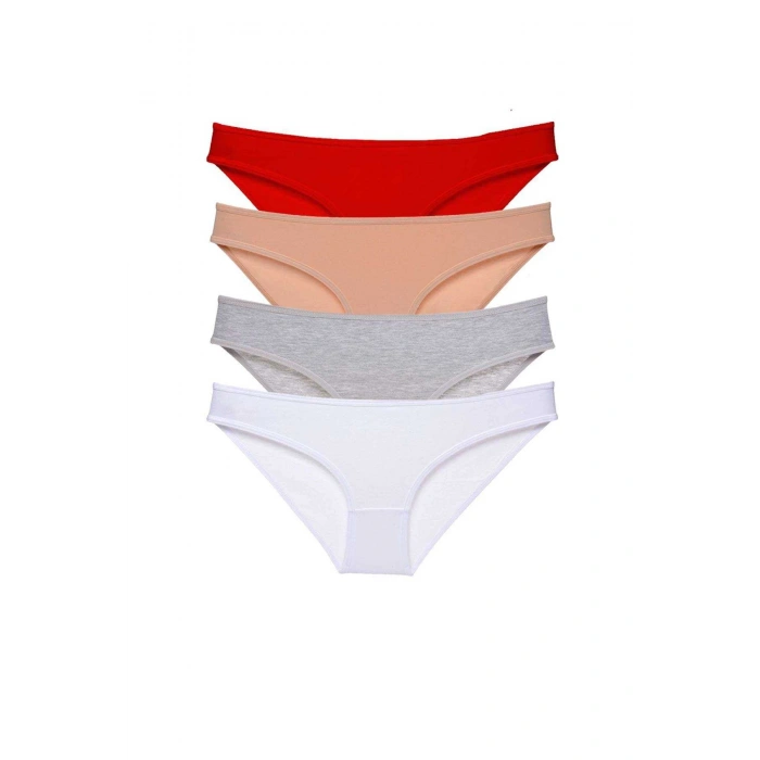 4 adet Süper Eko Set Likralı Kadın Slip Külot 531