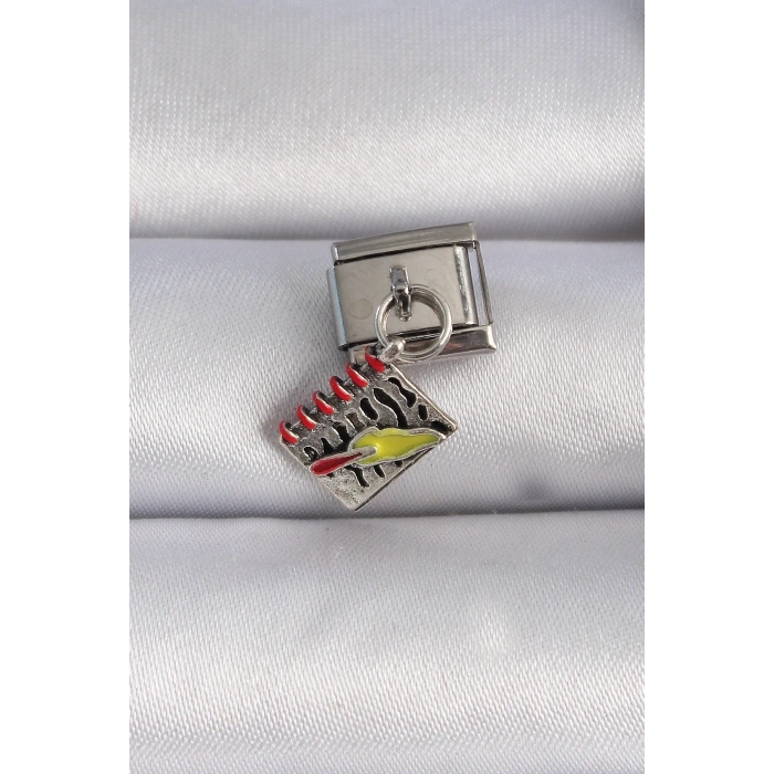 BFS 316L Çelik Gümüş Renk Sallantı Defter Figür Nomination Charm