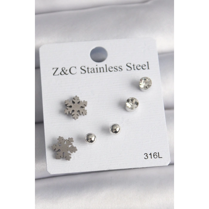 BFS 316L Çelik Gümüş Renk Zirkon Taşlı Kar Tanesi Model Kadın Küpe Seti