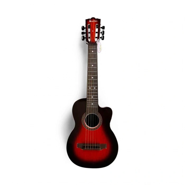 BFS   Akustik Gitar 69 cm