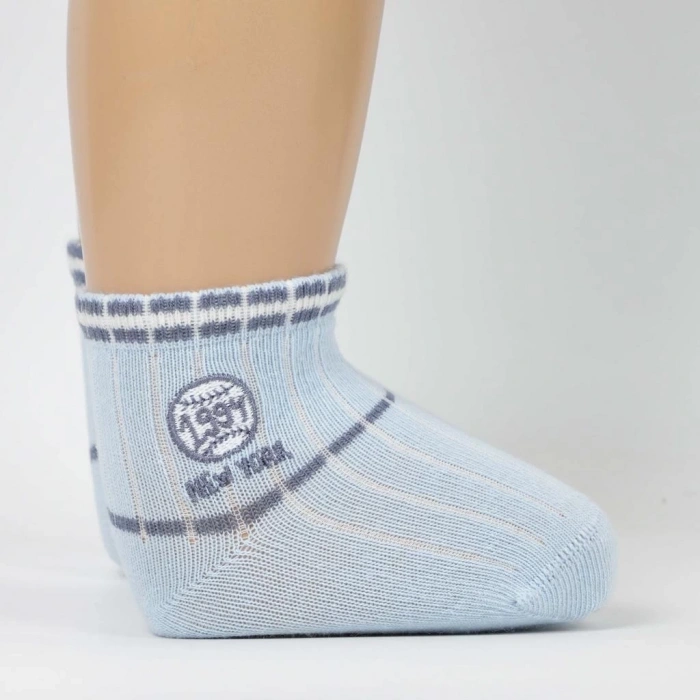 BFS   Artı Teori Aks Erkek Bebek Soket Çorap 450205 Asorti