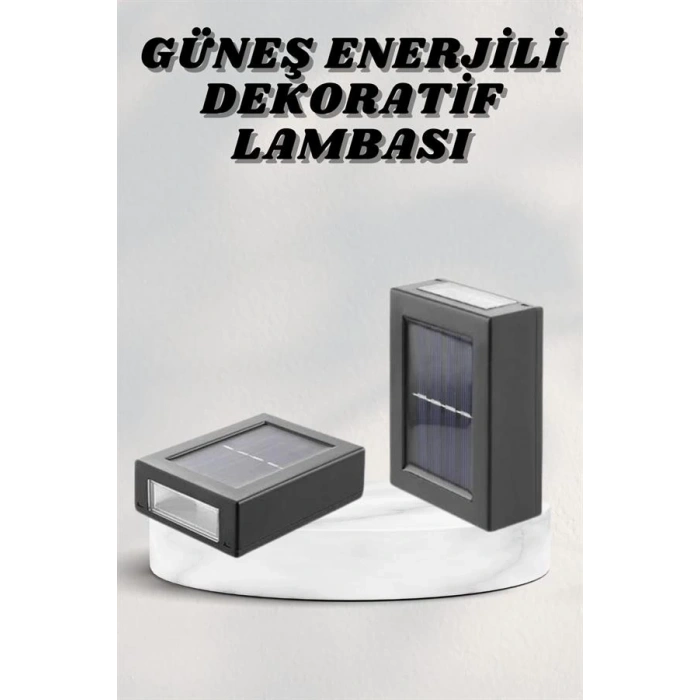 BFS Bahçe Aydınlatması Solar Güneş Enerjili Dekoratik Led Işıklı Lamba