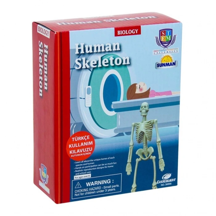 BFS   Bilim Seti : İnsan İskeleti