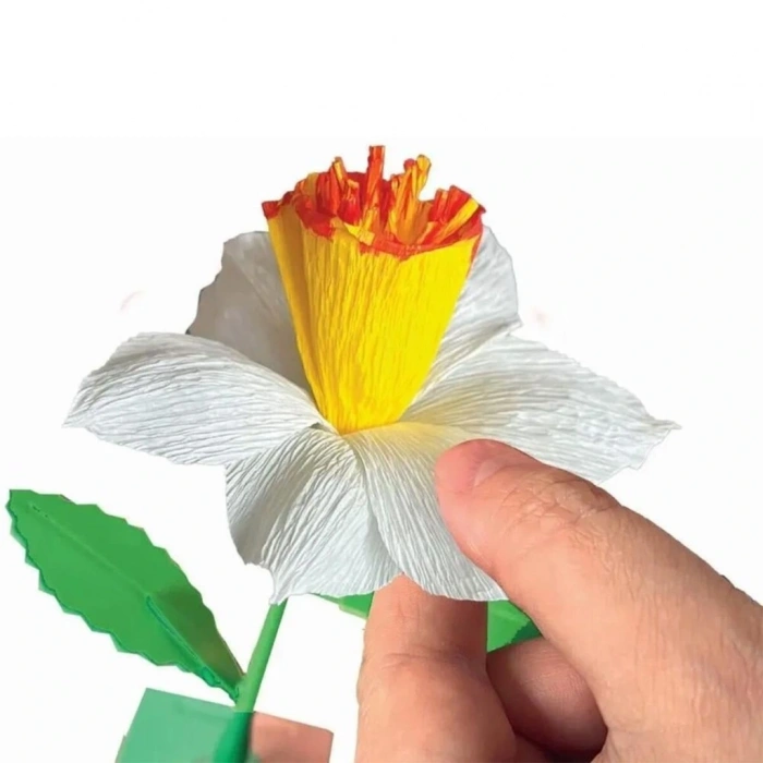 BFS Çiçek Tasarıım Seti - Nergis