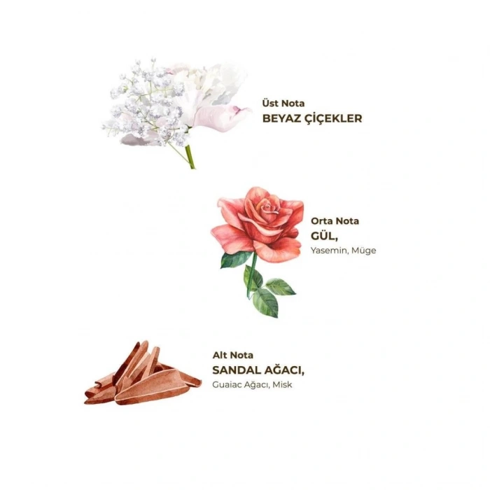 BFS   Eyüp Sabri Tuncer Kolonya Pet Şişe Sprey 150 ml Hatıralar