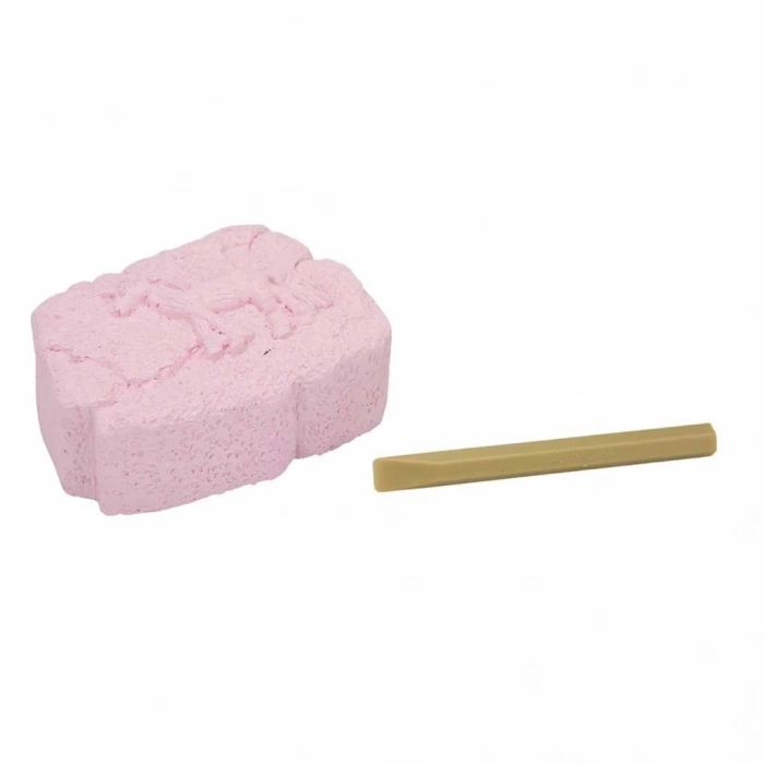 BFS     Karanlıkta Parlayan Unicorn Fosil Kazı Seti