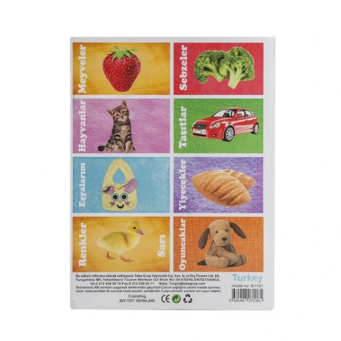 BFS Nessiworld 1161  Flash Cards  İlk 50 Sözcük -DıyToy