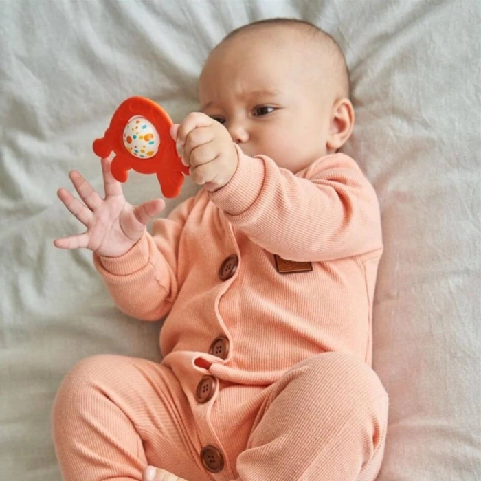 BFS Nessiworld   30862 Lets be Child - Sevimli Kaplumbağa Diş Kaşıyıcı Çıngırak