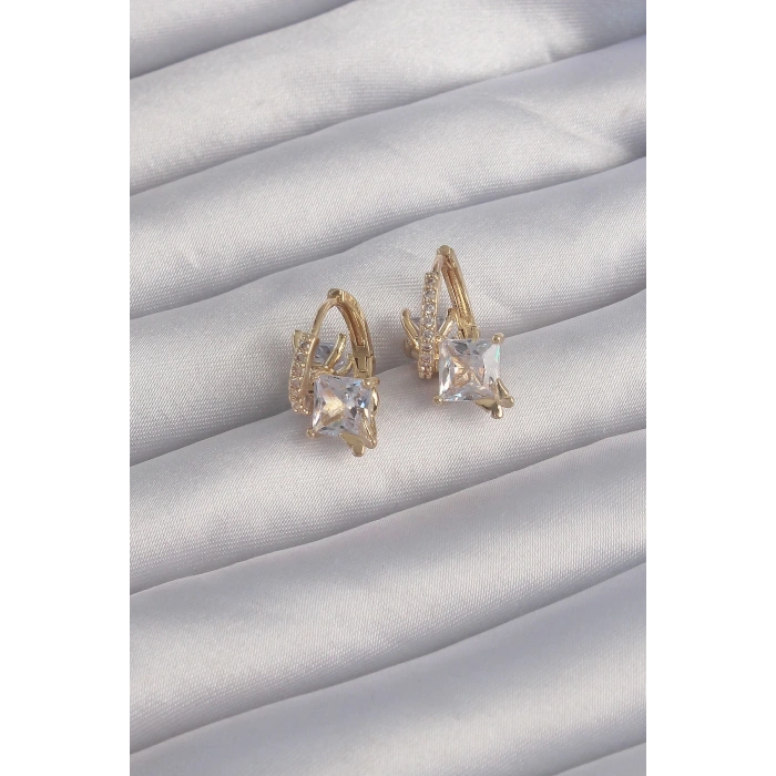 BFS Pirinç Gold Renk İri Zirkon Taşlı Kıvrımlı Minimal Kelebekli Halka Küpe