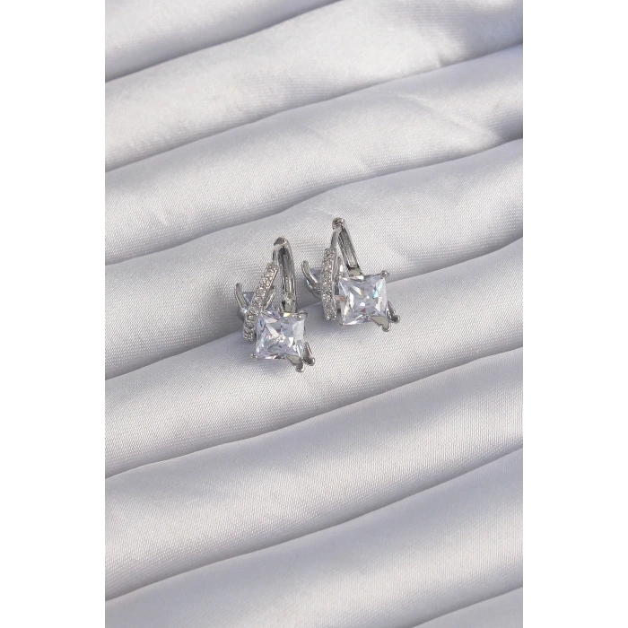 BFS Pirinç Gümüş Renk İri Zirkon Taşlı Kıvrımlı Minimal Kelebekli Halka Küpe