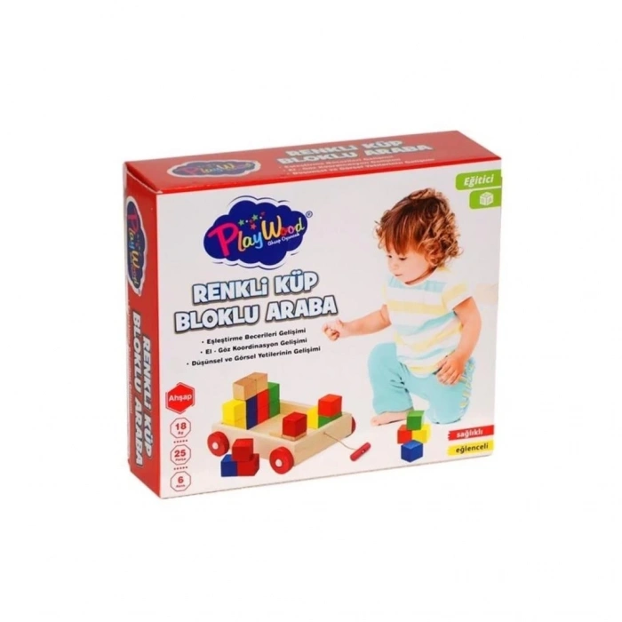 BFS   PlayWood Ahşap Renkli Küp Bloklu Araba 312