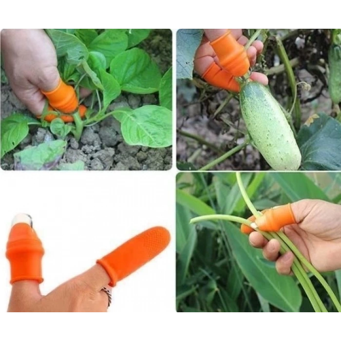 BFS  Pratik Baş Parmak Sebze Kesme Ayıklayıcı Erkek L Set