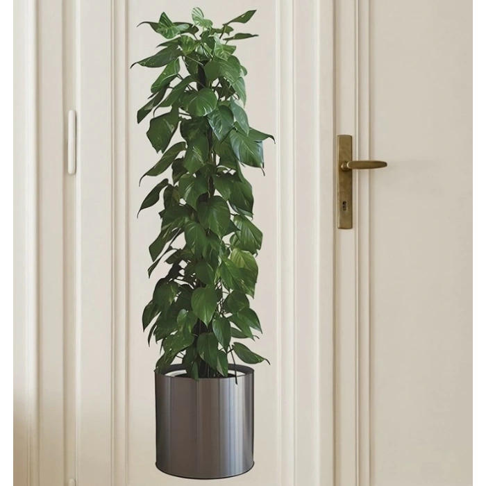 BFS  Saksılı Bitki Tasarımlı Yapışkanlı Sticker Resim 90*30 cm MC-665