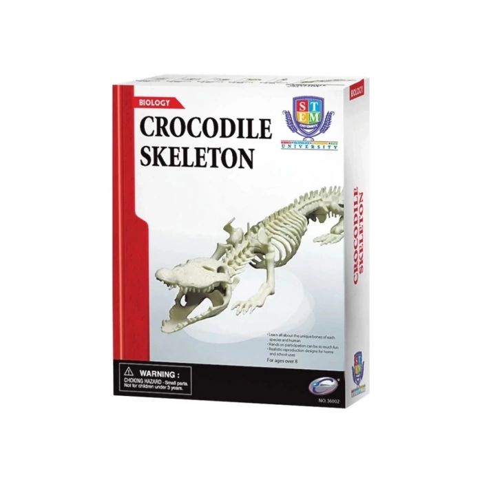 BFS  Timsah İskeleti Bilim Seti