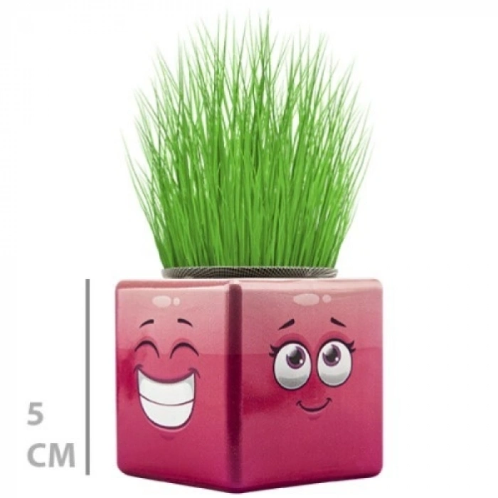 Mey İthalat® Çim Adam Mini Küp Emoji Figürlü 1 Adet