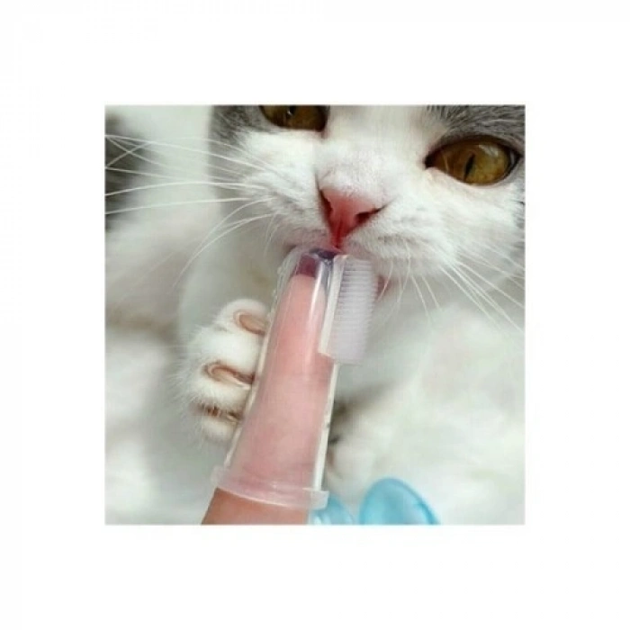 Mey İthalat® Kedi Köpek Diş Temizleme Fırçası