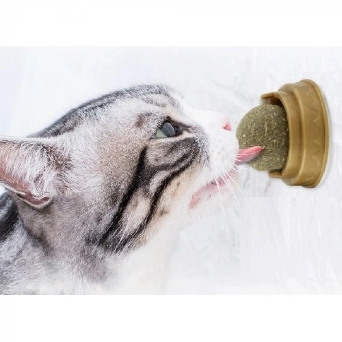 Mey İthalat® Kedi Nanesi (Catnip) Oyun Topu