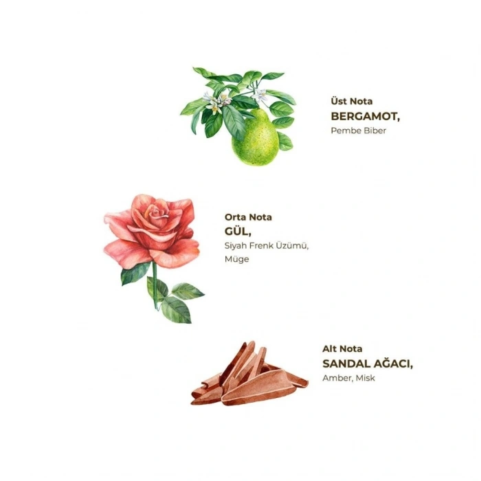 Mey İthalat®   Kolonya Pet Şişe Sprey 150 ml Manolya Çiçeği