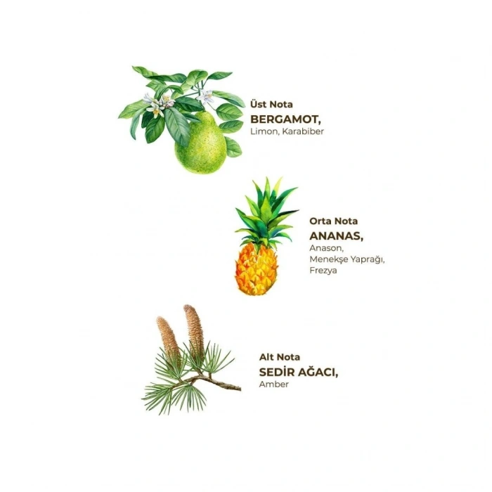 Mey İthalat®   Kolonya Pet Şişe Sprey 150 ml Okyanus