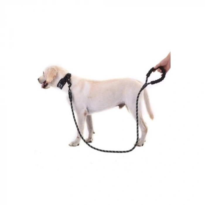 Mey İthalat® Reflektörlü Köpek Tasması 130 Cm.
