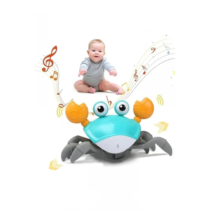 Mey İthalat® SH40381 KUT.PİLLİ YENGEÇ -ZRV