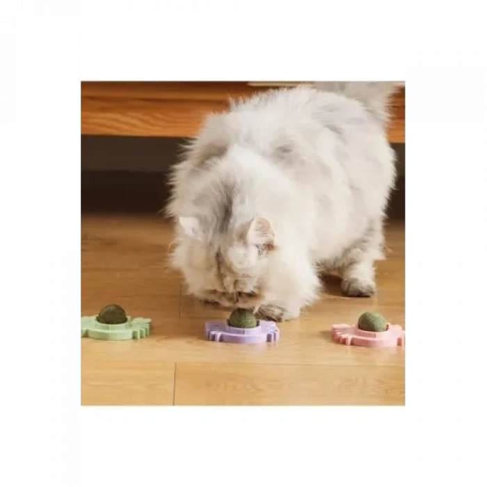 Mey İthalat® Yengeç Kedi Otu Oyun Topu