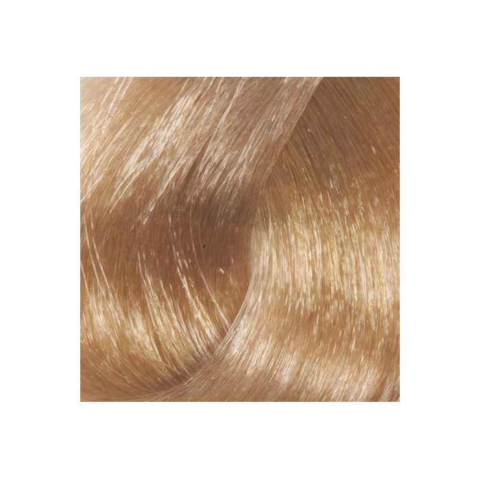 Premium 10.01 Ekstra Doğal Küllü Platin - Kalıcı Krem Saç Boyası 50 g Tüp