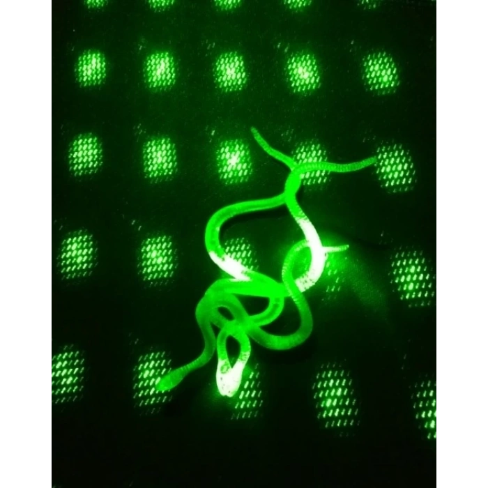 Şaka Yılan Ve Kırkayak Karışık 36 Adet