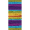 5 Adet Vega Stripe Premium Akrilik El Örgü İpi Yünü No: 82410