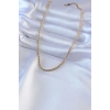 BFS 316L Çelik Gold Renk Burgu Model 45 cm Kadın Kolye