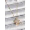BFS 316L Çelik Gold Renk Zincir Zirkon Taşlı Yıldız Model Kadın Kolye