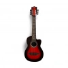 BFS   Akustik Gitar 69 cm