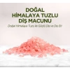 BFS   Doğal Diş Macunu 90 Gr Himalaya Tuzlu