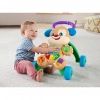 BFS  FTG10 Fisher-Price® Eğitici Köpekçik Yürüteç /Türkçe