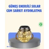 BFS Güneş Enerjili Cam Sarkıt Bahçe Balkon Teras Aydınlatma 30 LED