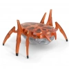 BFS   HexBots Nano Scarab & Beetle