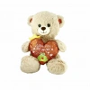 BFS   PJH2323 Peluş Kalpli Ayı Love You 30 cm