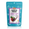 BFS   Pol’s Freeze Fresh Magic Ball Böğürtlenli Elma Topları 16 gr
