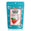 BFS   Pol’s Freeze Fresh Magic Ball Çilekli Elma Topu 16 gr