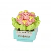 BFS Saksı Çiçekleri Sukulent Serisi 3D Puzzle
