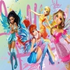 BFS WINX 714 PUZZLE 100