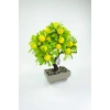Dekor Ağaç Limon Ağacı Saksılı Dekoratif Ağaç Biblo 24x13 cm