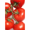 Domates Tohumu Falcon 5 Gr
