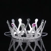 Gümüş Renk Çocuk Ve Yetişkin Uyumlu Kraliçe Tacı Prenses Tacı 8x25 Cm