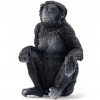 Mey İthalat® Bonobo