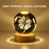 Mey İthalat® Dekoratif Yonca Görünümlü Işıklı Kristal Cam Küre USB Masa Gece Lambası