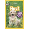 Mey İthalat® Hav!