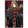 Mey İthalat® Hermione Granger Figür ve 300 Parça Puzzle