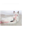 Mey İthalat® Kedi Gezdirme Göğüs Tasması