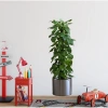 Mey İthalat® Saksılı Bitki Tasarımlı Yapışkanlı Sticker Resim
